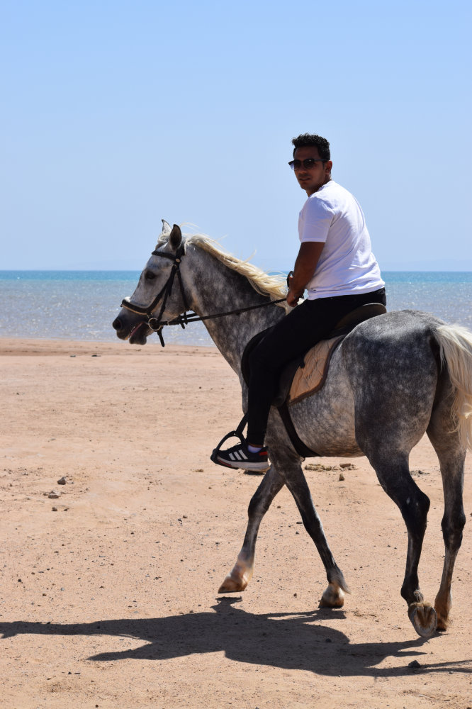 Horse & Animal Park Hurghada – Impression 4