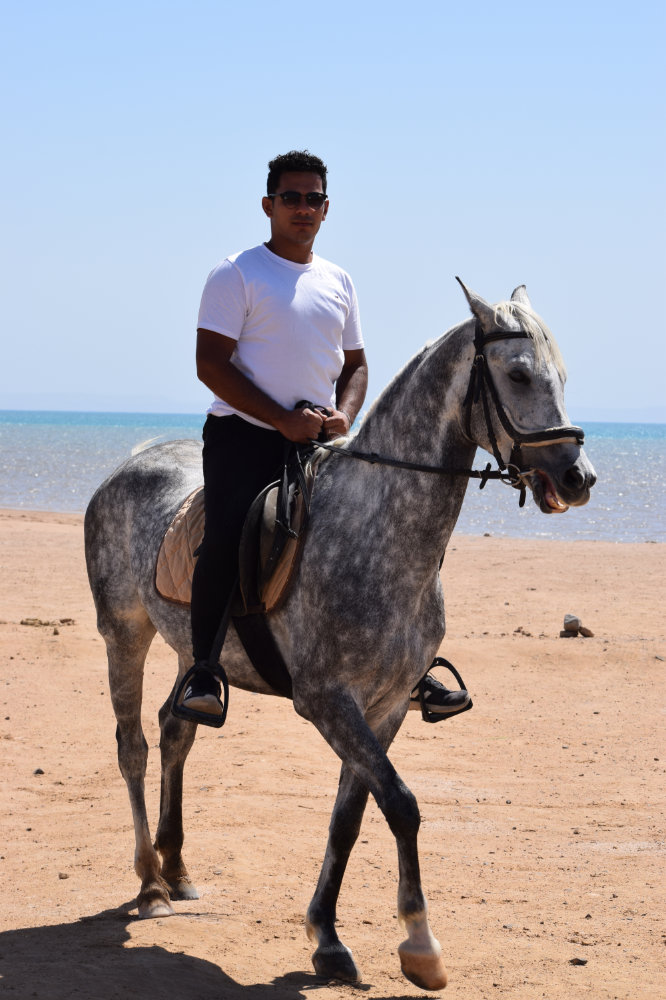 Horse & Animal Park Hurghada – Impression 6