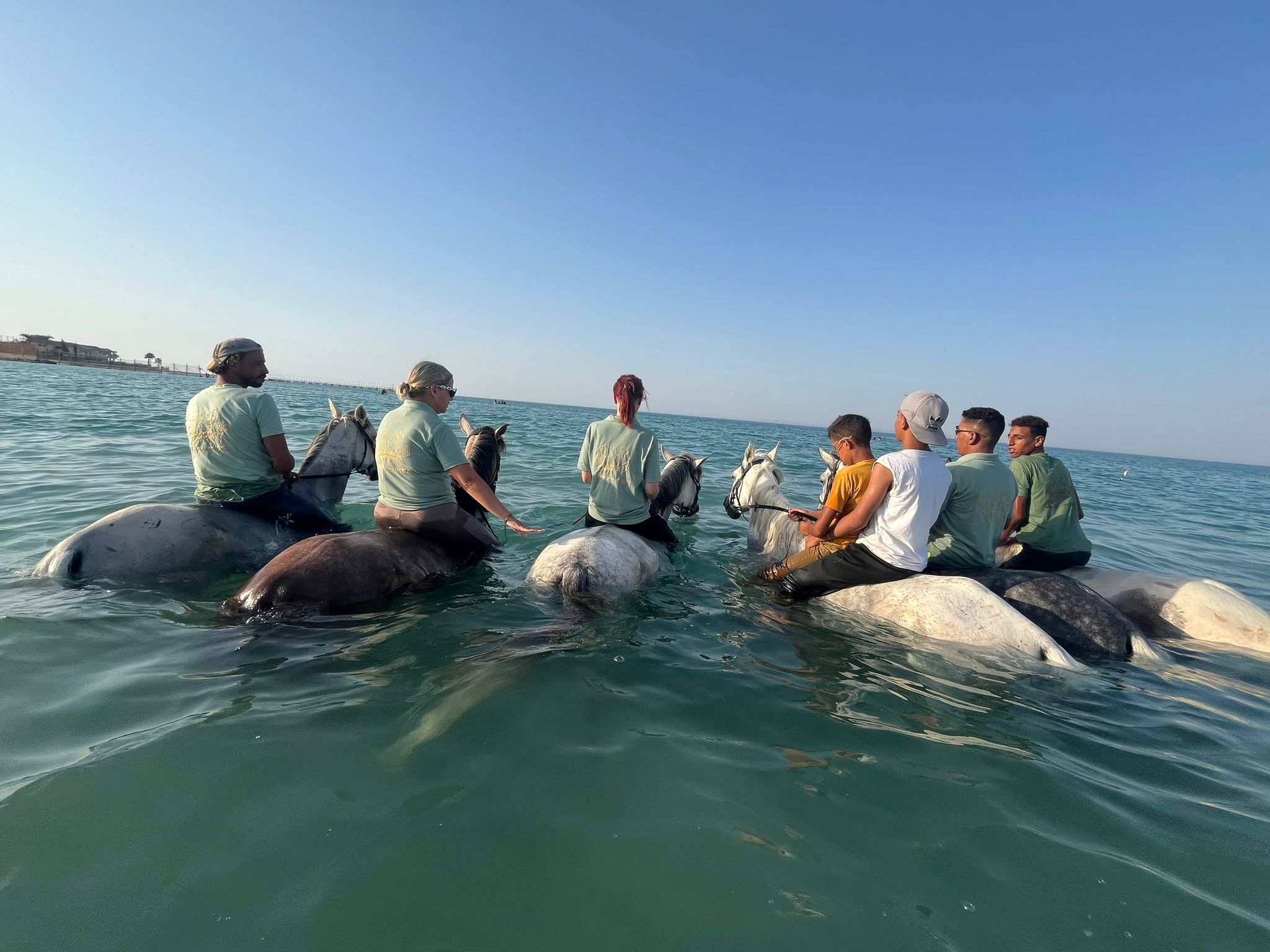 Horse & Animal Park Hurghada – Impression 31